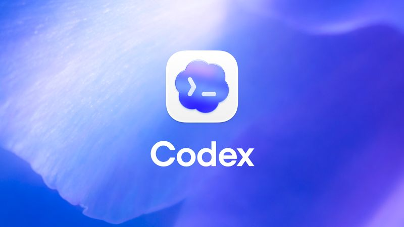 为什么 Windows 版 Codex 自带 PowerShell 7：一次运行时来源追踪-CXT - Enjoy Life | 生活、技术、交友、分享
